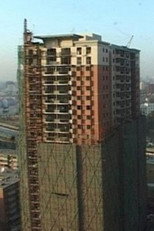 Poster de la película Under the Skyscraper