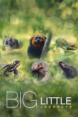 Poster de la serie Big Little Journeys