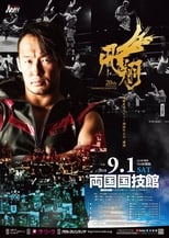 Poster de la película NOAH: Naomichi Marufuji 20th Anniversary Show