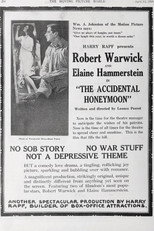Poster de la película The Accidental Honeymoon
