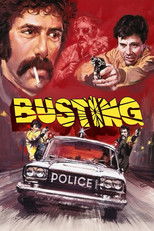 Poster de la película Busting