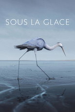 Poster de la película Under the Ice