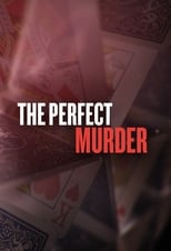 Poster de la serie The Perfect Murder