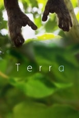 Poster de la película Terra