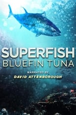 Poster de la película Superfish: Bluefin Tuna