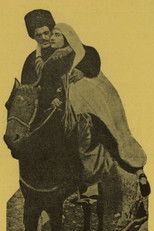 Poster de la película The Fugitive