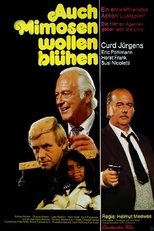 Poster de la película Auch Mimosen wollen blühen