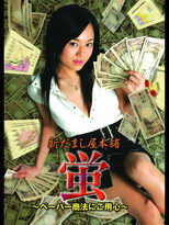 Poster de la película New Hotaru The Hyper Swindler 2