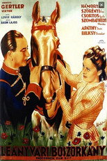Poster de la película Witch of Leányvár