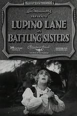 Poster de la película Battling Sisters