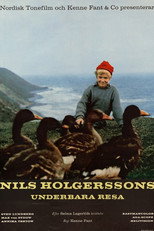 Poster de la película Wonderful Adventures of Nils