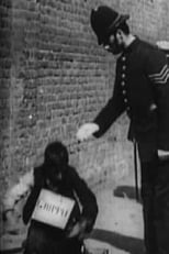 Poster de la película The Beggar's Deceit