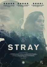 Poster de la película Stray