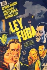 Poster de la película Ley fuga