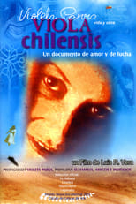 Poster de la película Viola Chilensis