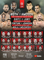 Poster de la película Bellator 239: Ruth vs Amosov