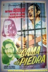 Poster de la película La cama de piedra