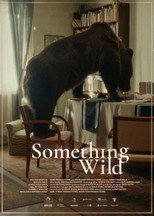 Poster de la película Something Wild