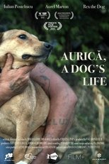 Poster de la película Aurica, a Dog's Life