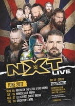 Poster de la película NXT Takeover Chicago