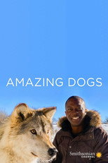 Poster de la serie Amazing Dogs