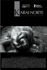 Poster de la película Man of the North