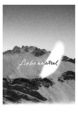 Poster de la película Austral Fever