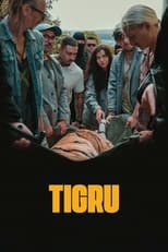 Poster de la película Day of the Tiger