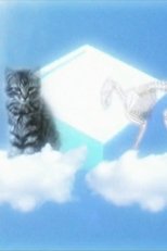 Poster de la película Le Chat De Shrodinger