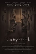 Poster de la película Labyrinth