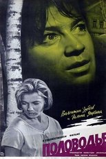 Poster de la película Polovodye