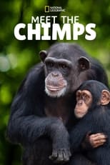 Poster de la serie Meet the Chimps