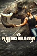 Poster de la película RajaBheema