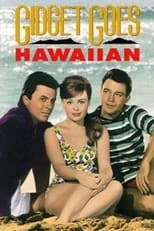 Poster de la película Gidget Goes Hawaiian