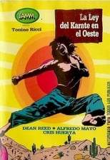 Poster de la película La ley del karate en el Oeste