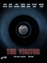 Poster de la película The Visitor
