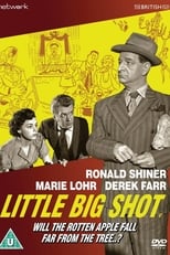 Poster de la película Little Big Shot