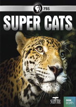Poster de la película Super Cats