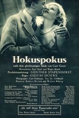 Poster de la película The Temporary Widow