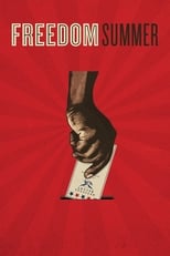 Poster de la película Freedom Summer