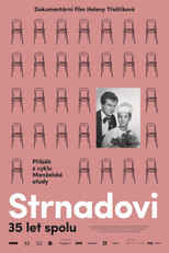 Poster de la película A Marriage Story