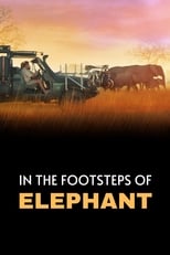 Poster de la película In the Footsteps of Elephant