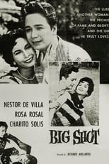 Poster de la película Big Shot