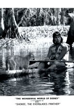 Poster de la película Shokee, the Everglades Panther
