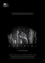 Poster de la película Zumiriki