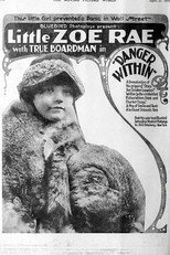 Poster de la película Danger Within