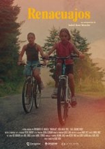 Poster de la película Renacuajos