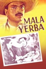 Poster de la película Mala yerba