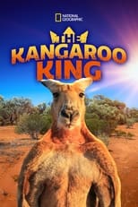 Poster de la película The Kangaroo King