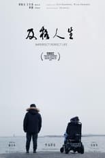 Poster de la película Imperfect Perfect Life